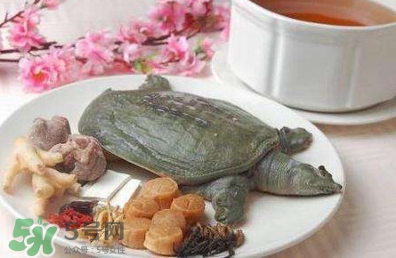 腳魚是什么？腳魚和烏龜?shù)膮^(qū)別