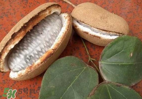 八月瓜能放冰箱嗎？八月瓜怎么保存？