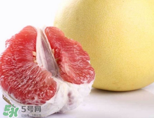 紅肉蜜柚是哪里產(chǎn)的？紅肉蜜柚的種植技術(shù)