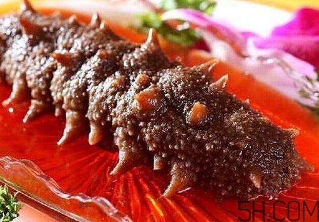 海參能和西紅柿一起吃嗎？海參和什么一起吃最好？
