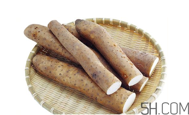 山藥發(fā)芽怎么處理？山藥的功效及作用