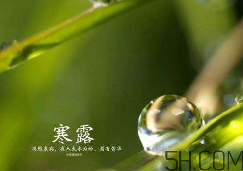 2017年寒露會(huì)下雨嗎？寒露下雨好嗎？