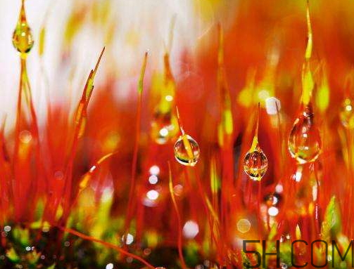 2017年寒露會(huì)下雨嗎？寒露下雨好嗎？