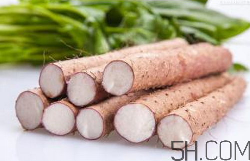 山藥和白蘿卜可以一起燉湯嗎？冬天吃山藥的五大好處