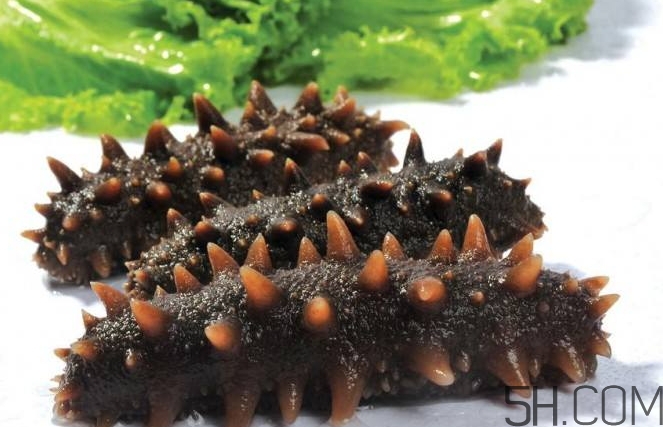 術(shù)后能吃海參嗎？術(shù)后吃海參的功效與作用