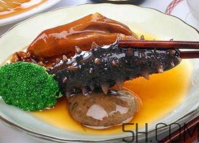 海參是海鮮嗎？海參是動物還是植物？