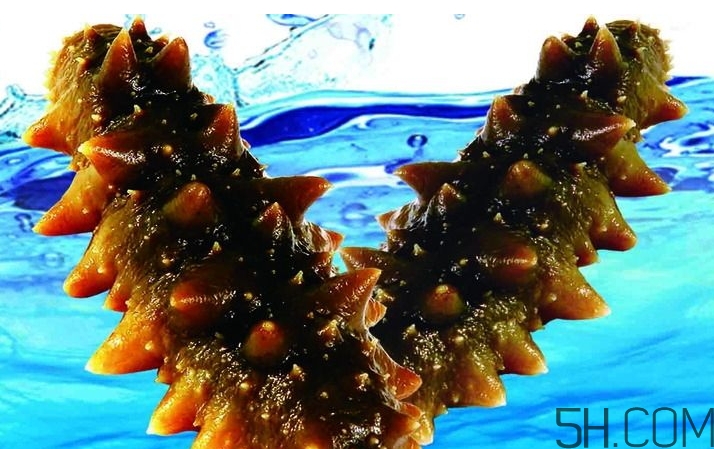 海參是酸性還是堿性？海參是涼性還是熱性？