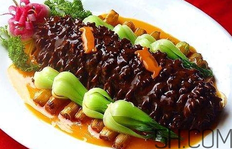 海參是高蛋白食物嗎？海參是素食嗎？