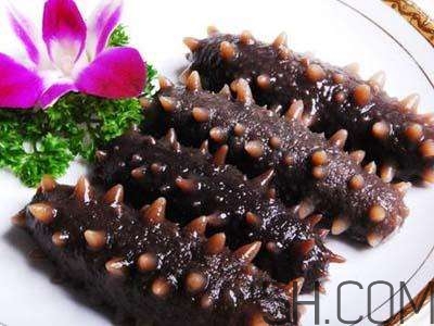 海參是高蛋白食物嗎？海參是素食嗎？