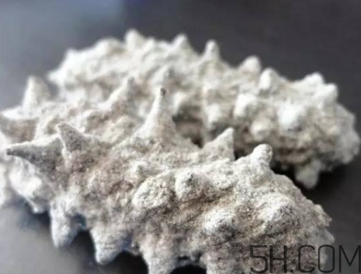 海參顏色深好還是淺好？海參顏色發(fā)白時(shí)怎么回事？