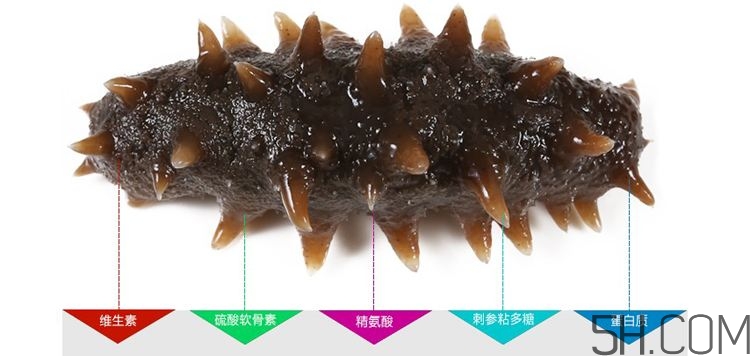 海參哪些部位不能吃？海參的禁忌人群