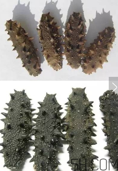 海參顏色深好還是淺好？海參顏色發(fā)白時(shí)怎么回事？