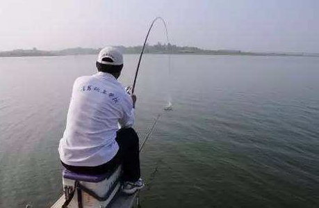 大蒜泡酒能釣魚(yú)嗎？大蒜泡酒釣魚(yú)的方法