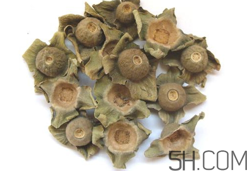 柿蒂治打嗝怎么煮水？柿蒂的功效與作用