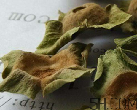 柿蒂治打嗝怎么煮水？柿蒂的功效與作用