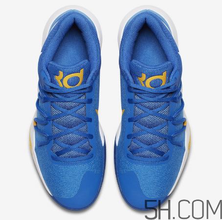 nike kd trey 5 v warriors勇士配色多少錢_在哪買？