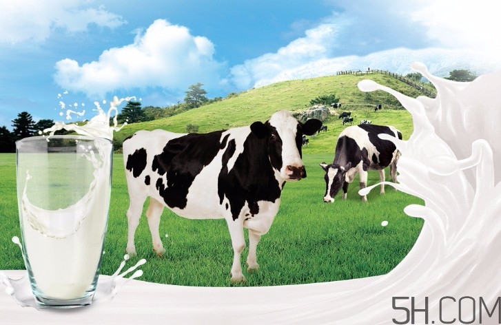 早上喝牛奶拉肚子是怎么回事？早上喝牛奶拉肚子怎么辦？