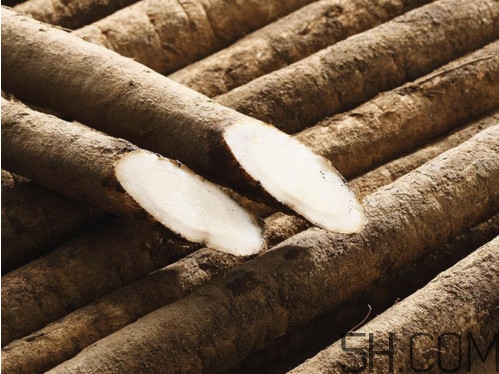牛蒡是牛大力嗎？牛蒡和牛大力的區(qū)別