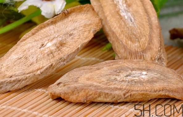 牛蒡對男人有什么作用？牛蒡茶有什么壞處