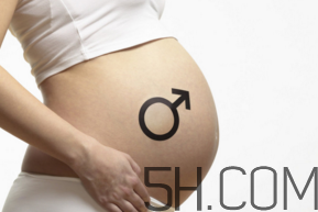 懷男孩和懷女孩的特征是什么？孕婦肚子硬生男生女？