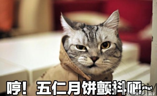 十仁月餅是哪十仁？十仁月餅好吃嗎