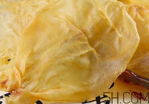 魚膠是魚泡嗎？魚膠是海鮮嗎