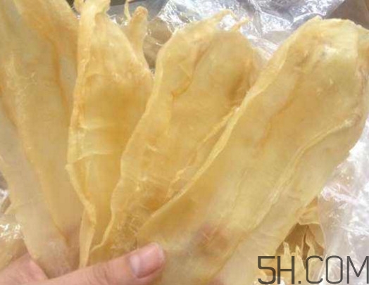 魚膠和花膠有什么區(qū)別？魚膠是魚的哪個(gè)部位