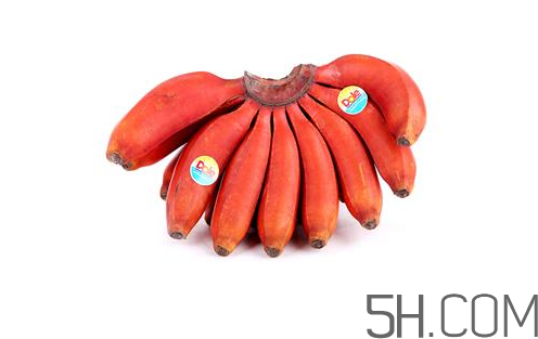 紅香蕉和普通香蕉的區(qū)別？香蕉可以放冰箱冷凍嗎？