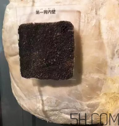 牛百葉和毛肚是一個(gè)東西嗎？牛百葉上面有層黑皮能吃嗎？