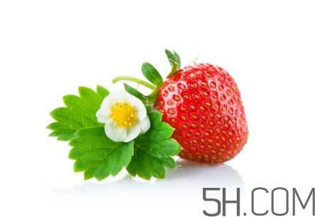 吃了發(fā)霉的草莓怎么辦？怎樣挑選草莓？