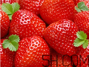 草莓都有哪些熱門品種？草莓怎么放不容易壞？