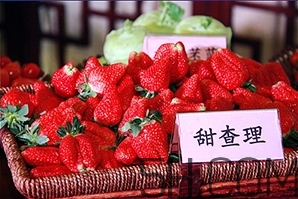 草莓都有哪些熱門品種？草莓怎么放不容易壞？