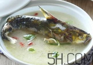 黃骨魚和鯽魚哪個好？黃骨魚和鯽魚的營養(yǎng)價值