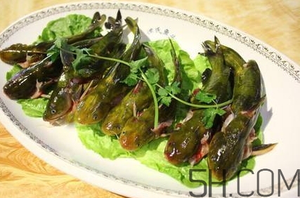 黃骨魚和鯽魚哪個好？黃骨魚和鯽魚的營養(yǎng)價值