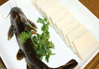 黃骨魚有刺嗎？黃骨魚有毒嗎？
