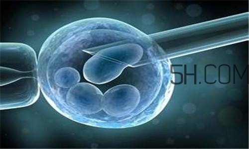 人工授精取卵子怎么??？人工授精男人怎樣取精？