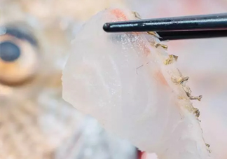 鯛魚(yú)怎么做？鯛魚(yú)是海魚(yú)還是淡水魚(yú)