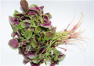 莧菜是酸性還是堿性？吃莧菜有什么好處？