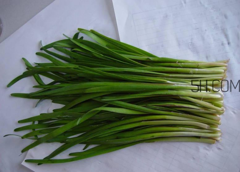 韭菜怎么保存？韭菜傷胃嗎？