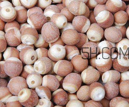 芡實(shí)是中藥嗎？芡實(shí)哪里可以買(mǎi)到