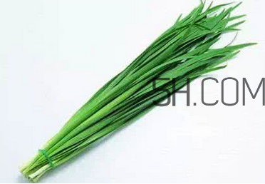立秋后可以種韭菜嗎？怎樣種韭菜？