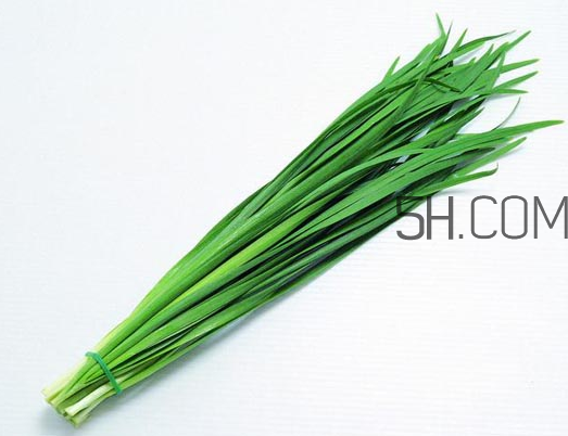 秋天吃韭菜好嗎？韭菜和莧菜能一起吃嗎？