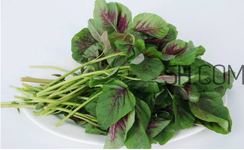 莧菜為什么是紅的？莧菜是涼性的嗎？