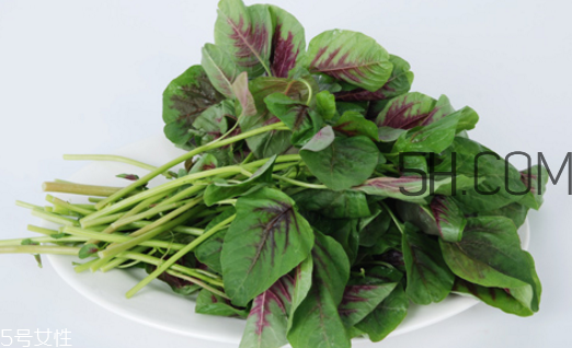 上火能吃咸莧菜嗎？寶寶能吃莧菜嗎？