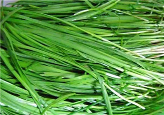 秋天吃韭菜好嗎？韭菜和莧菜能一起吃嗎？