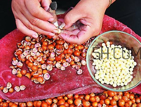 芡實(shí)有什么作用？芡實(shí)是哪里的特產(chǎn)