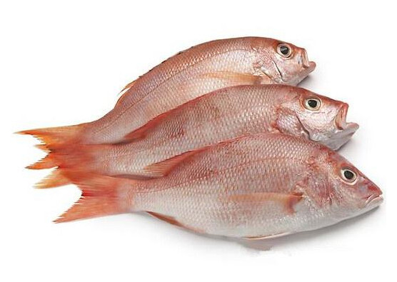 鯛魚多少錢一斤？鯛魚魚骨有什么營(yíng)養(yǎng)價(jià)值