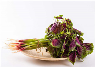 莧菜為什么是紅的？莧菜是涼性的嗎？