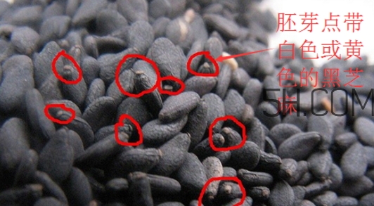 黑芝麻清洗掉色正常嗎？黑芝麻有黑色素嗎？