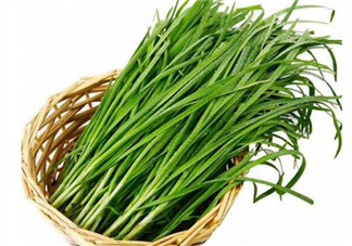 韭菜種植條件有哪些？韭黃和韭菜的區(qū)別